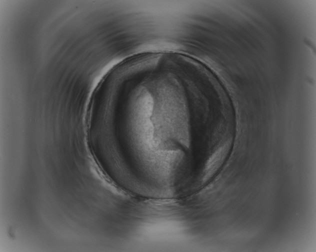 X0000103240864200809111555