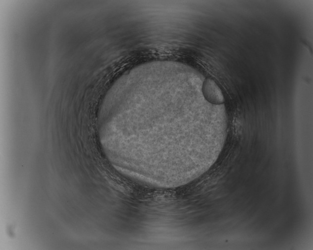 X0000103240865200809111554