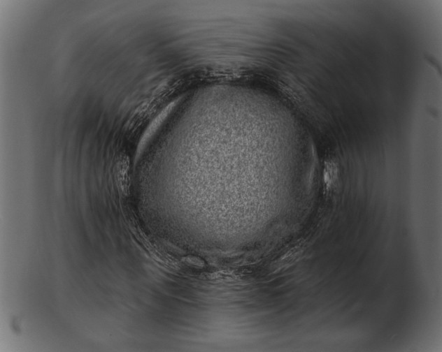 X0000103240867200809111554