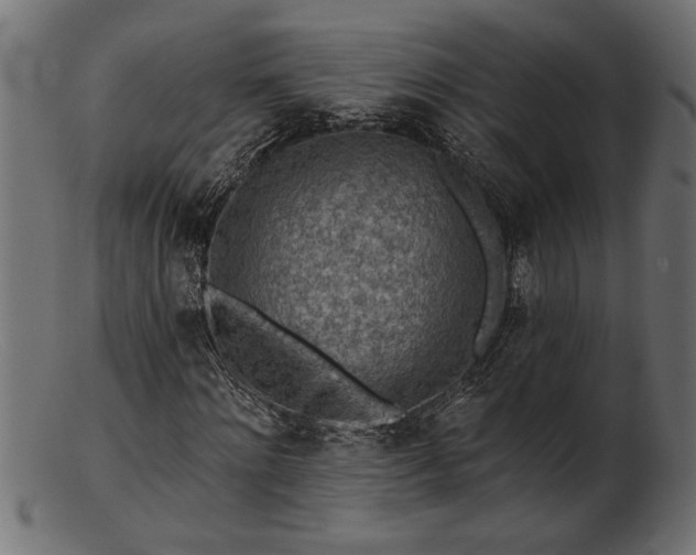 X0000103240868200809111554