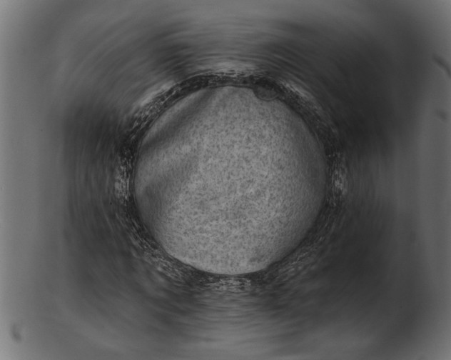 X0000103240869200809111554