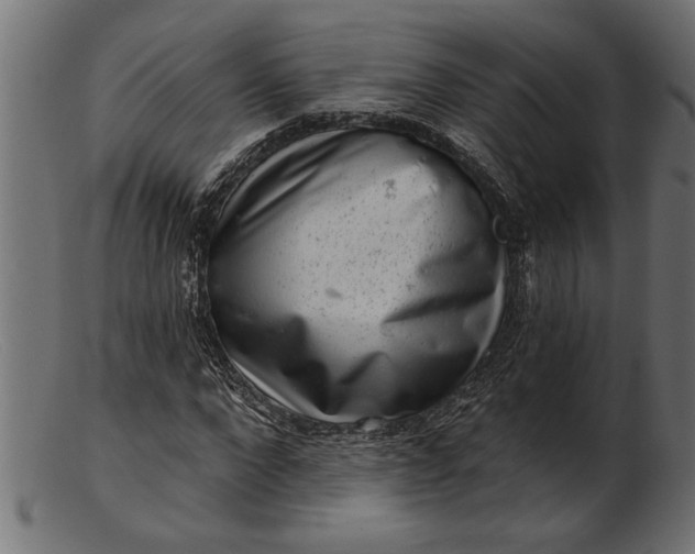 X0000103240872200809111554