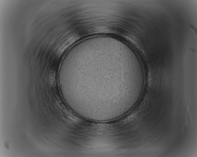 X0000103240873200809111554