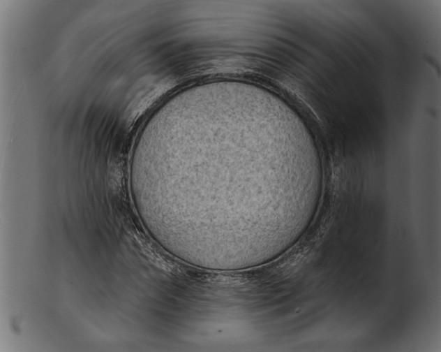 X0000103240874200809111554