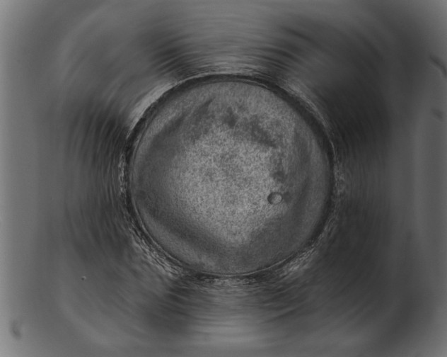 X0000103240875200809111554