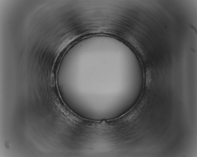 X0000103240876200809111554