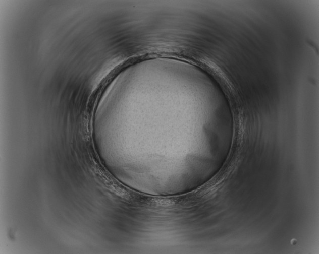 X0000103240878200809111554