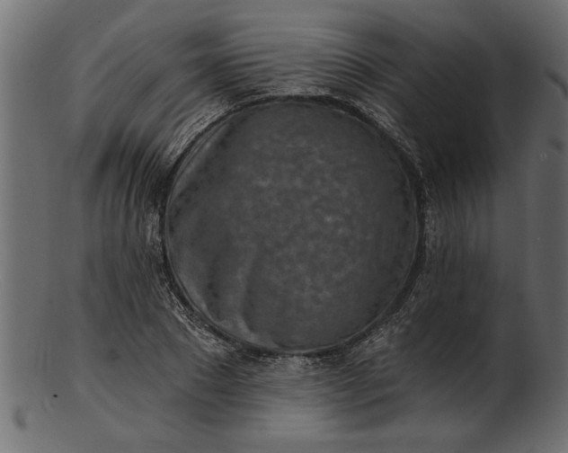 X0000103240881200809111554