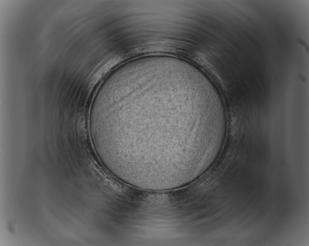 X0000103240882200809111554