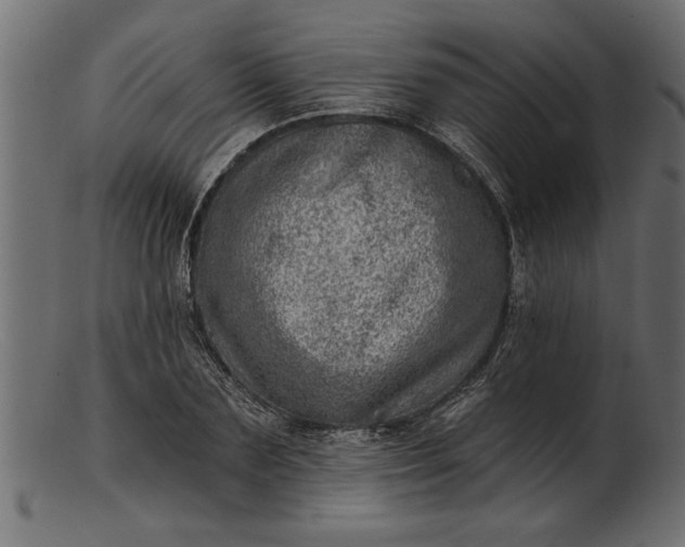 X0000103240883200809111554