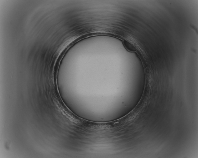 X0000103240884200809111554