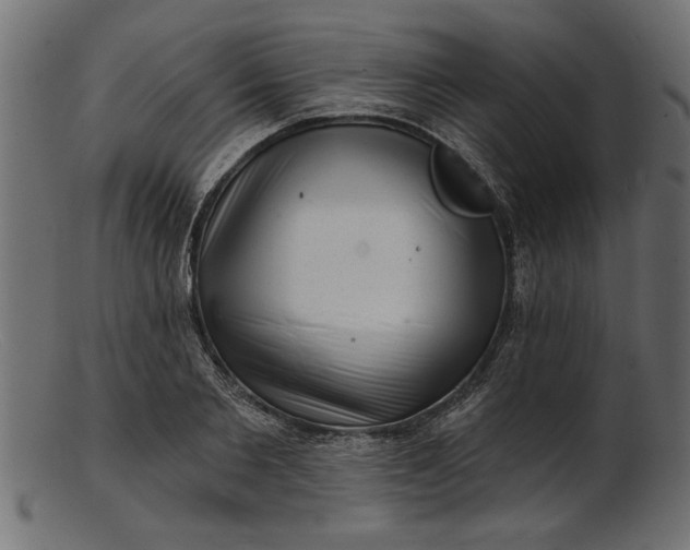 X0000103240885200809111554