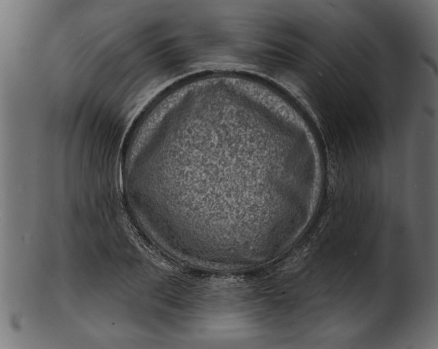 X0000103240887200809111554