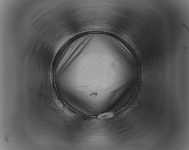 X0000103240888200809111554