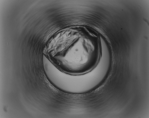 X0000103240889200809111554