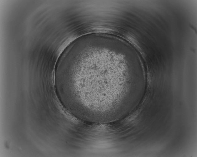 X0000103240891200809111554