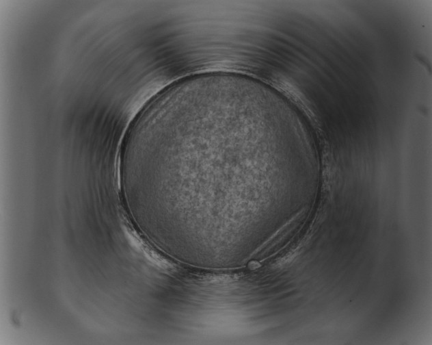 X0000103240892200809111554