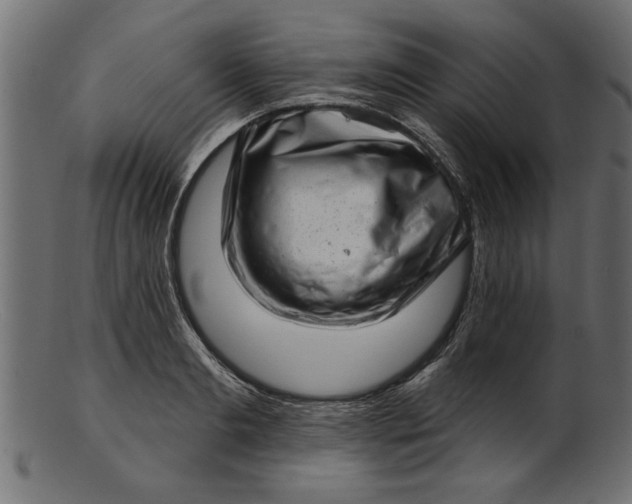 X0000103240893200809111554