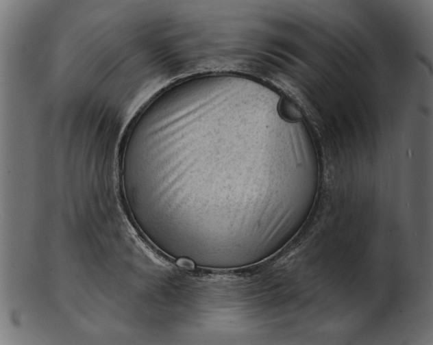 X0000103240894200809111554