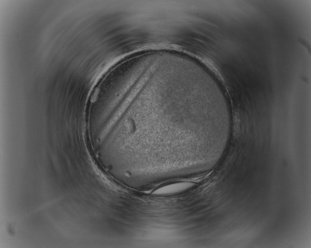 X0000103240895200809111554