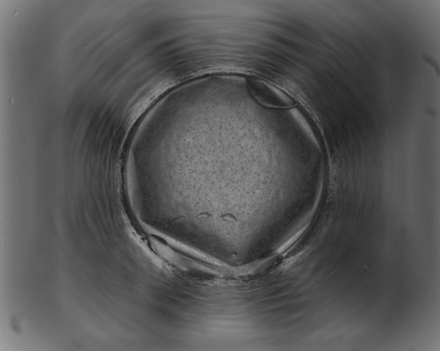 X0000103240898200809111554