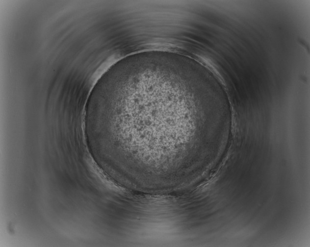 X0000103240899200809111554