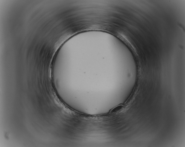 X0000103240900200809111554