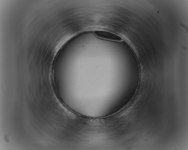 X0000103240901200809111554