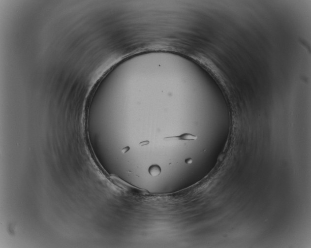 X0000103240902200809111554