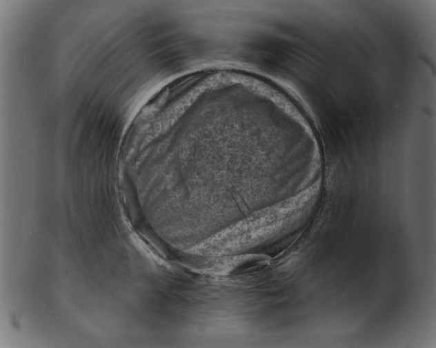 X0000103240903200809111554