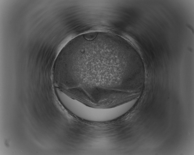 X0000103240907200809111553