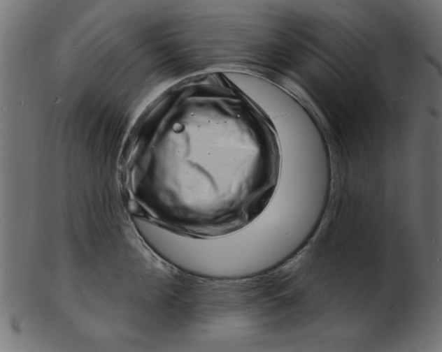 X0000103240908200809111553