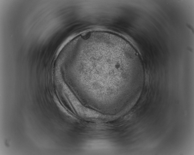 X0000103240911200809111553