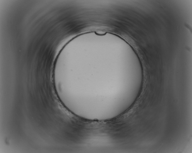 X0000103240912200809111553