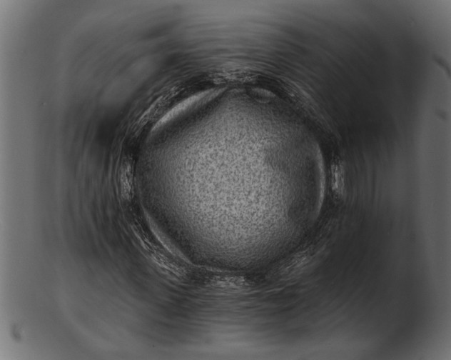 X0000103240915200809111553