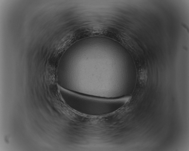 X0000103240916200809111553