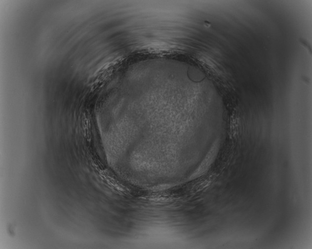 X0000103240917200809111553