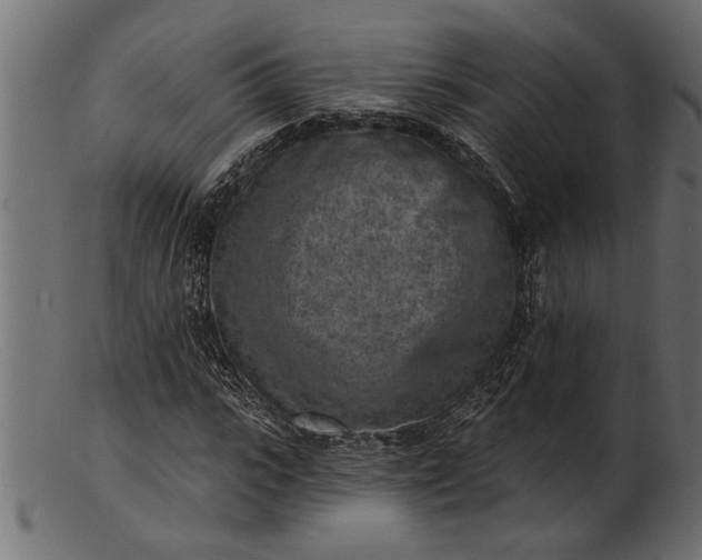 X0000103240919200809111553