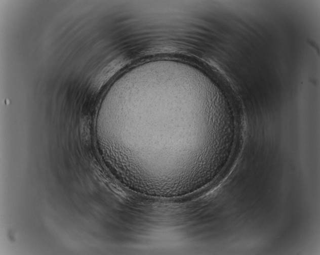 X0000103240921200809111553