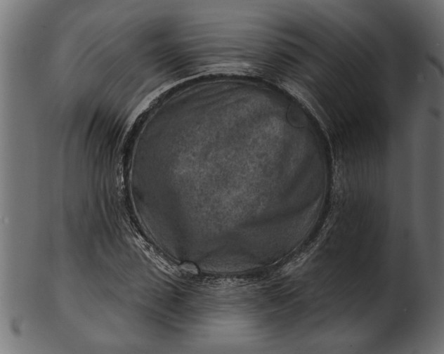 X0000103240923200809111553