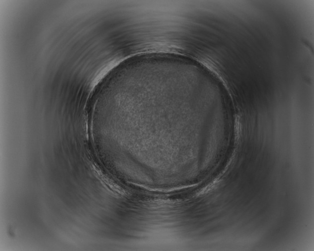 X0000103240925200809111553