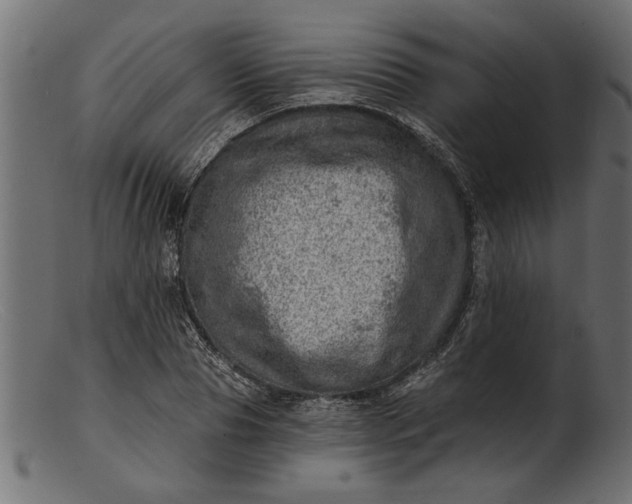 X0000103240929200809111553