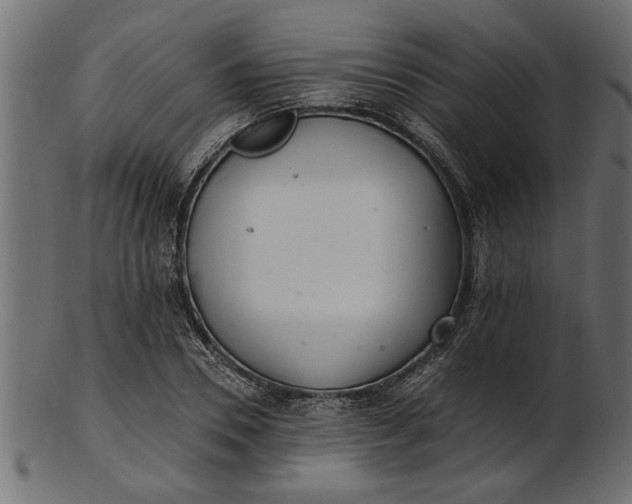 X0000103240930200809111553