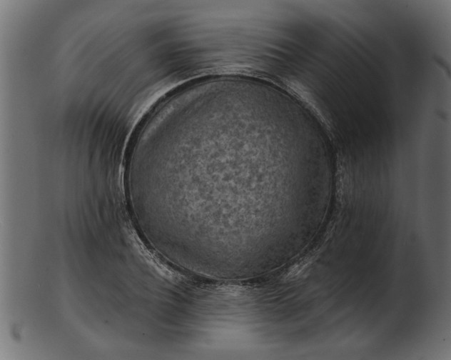 X0000103240932200809111553