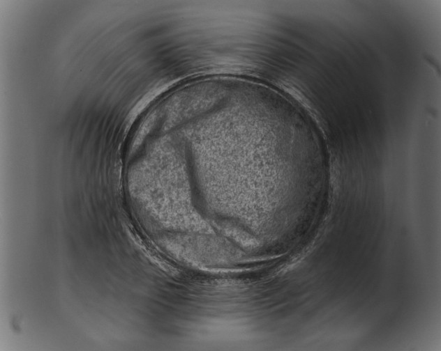 X0000103240933200809111553