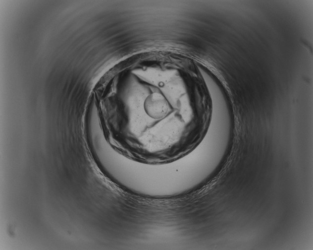 X0000103240936200809111553