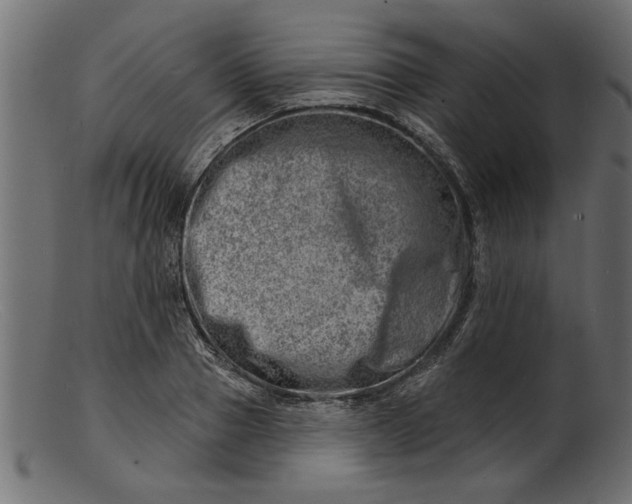 X0000103240937200809111553