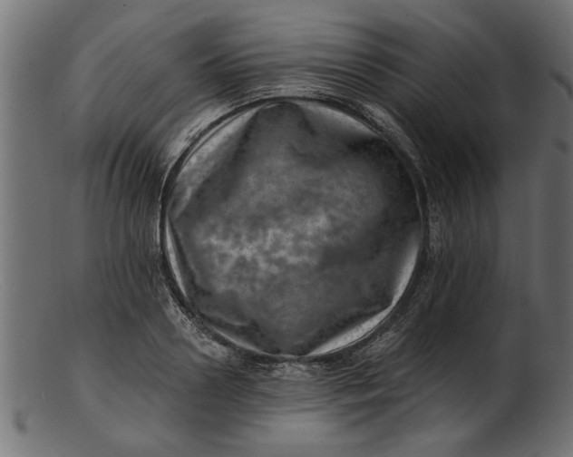 X0000103240938200809111553