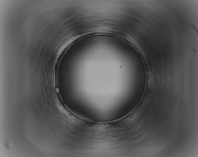 X0000103240939200809111553