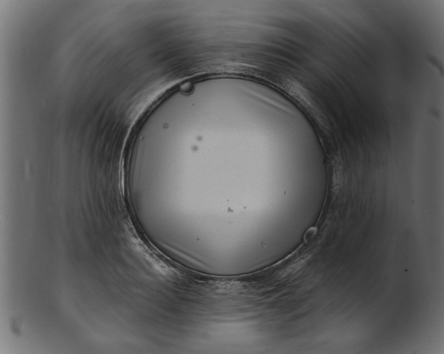 X0000103240940200809111553